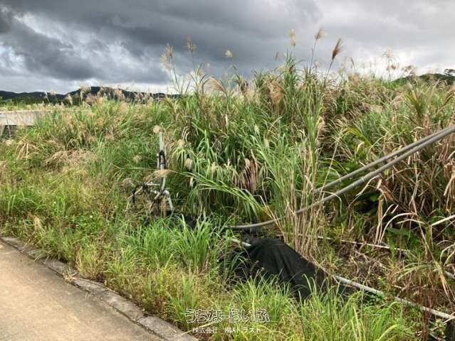 614 Tsubo Agricultural Land for Sale in Nago City, Okinawa - Thumbnail 2
