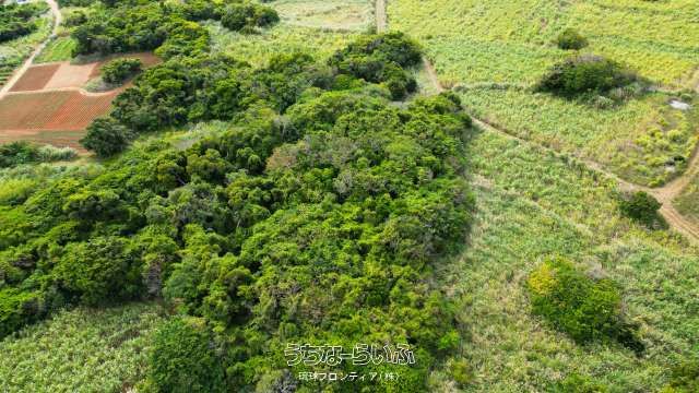 436m² Land for Sale in Kouri, Nakijin Village, Okinawa - Thumbnail 3