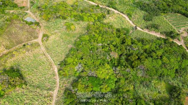 436m² Land for Sale in Kouri, Nakijin Village, Okinawa - Thumbnail 4