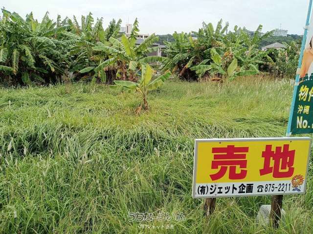 209 sqm Land for Sale in Kureya, Nishihara Town, Okinawa - Thumbnail 4
