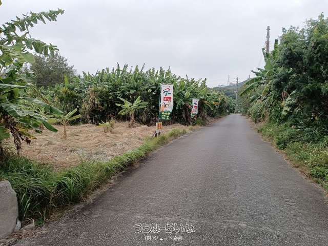 209 sqm Land for Sale in Kureya, Nishihara Town, Okinawa - Thumbnail 2