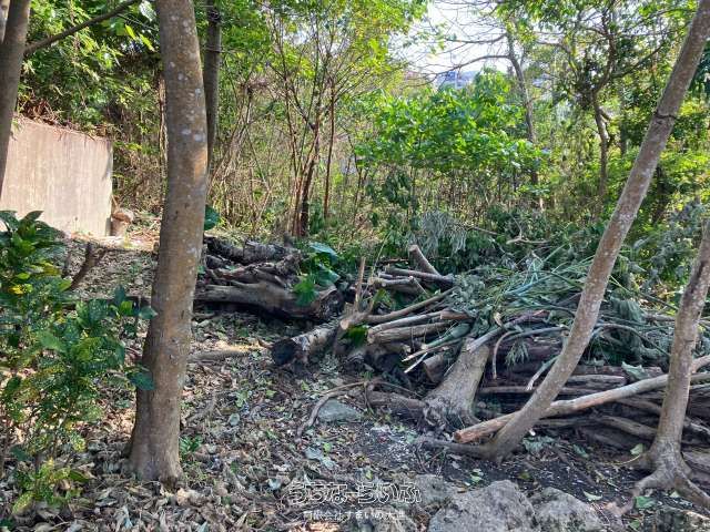 332 sqm Land for Sale in Matsugawa, Naha City, Okinawa - Thumbnail 2