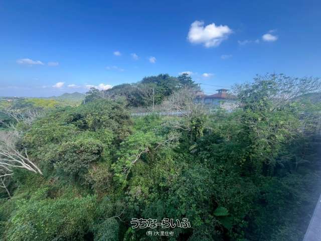 778 Tsubo Sloping Land for Sale in Motobu, Okinawa - 3.9M Yen - Thumbnail 4