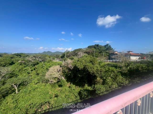 778 Tsubo Sloping Land for Sale in Motobu, Okinawa - 3.9M Yen - Thumbnail 2