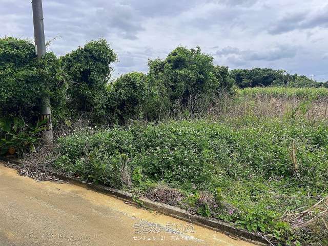 1136 sqm Land Plot for Sale in Nagama, Miyakojima City - Thumbnail 3