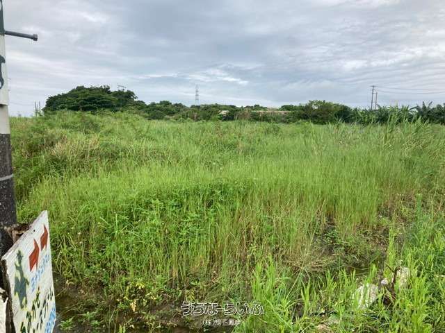 5889.99㎡ Land for Sale in Sashiki, Nanjo City, Okinawa - Thumbnail 4