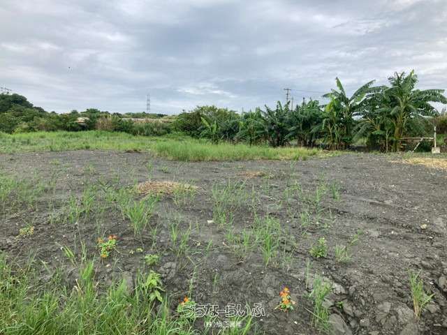 5889.99㎡ Land for Sale in Sashiki, Nanjo City, Okinawa - Thumbnail 3