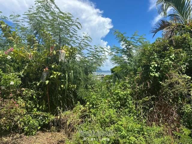 621m² Land for Sale in Uruma City, Okinawa - Affordable Price - Thumbnail 2