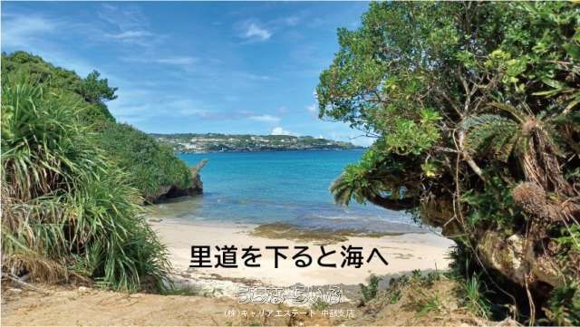 3309㎡ Ocean View Land for Sale in Nakijin, Okinawa - Thumbnail 3