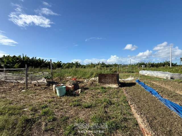 Land for Sale in Uruma, Okinawa - 5889.42 sqm Development Plot - Thumbnail 3