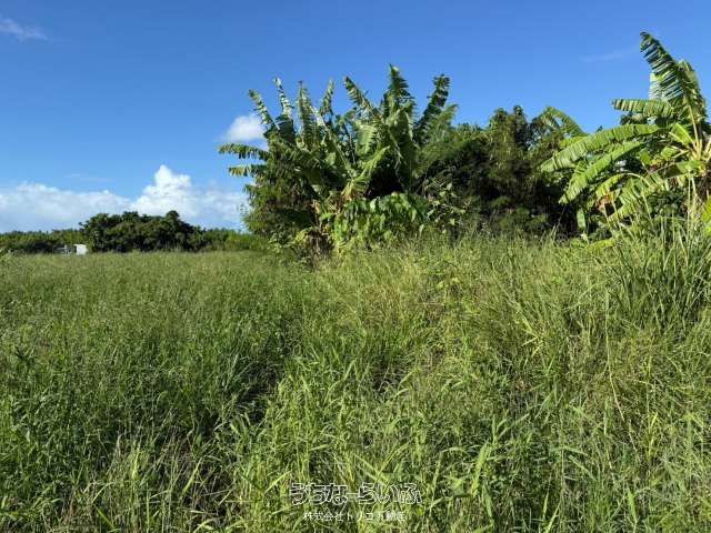 Land for Sale in Uruma, Okinawa - 5889.42 sqm Development Plot - Thumbnail 2