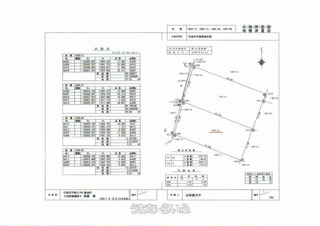 Land for Sale in Tonoshiro, Ishigaki City - 282.84 sqm - Thumbnail 4