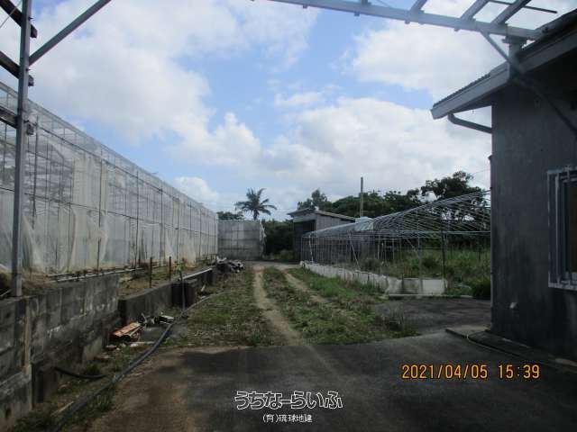 8264.48 sqm Farmland with Steel Frame House for Sale in Uruma, Okinawa - Thumbnail 3