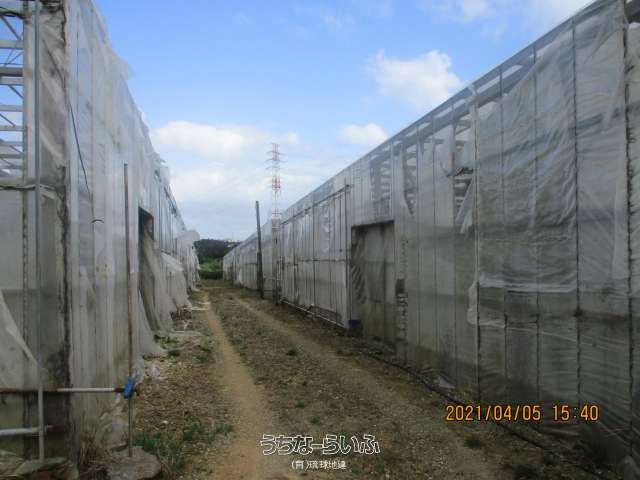 8264.48 sqm Farmland with Steel Frame House for Sale in Uruma, Okinawa - Thumbnail 4