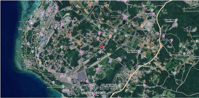 Land for Sale in Motobu Town, Okinawa - 2582 sqm Plot - Thumbnail 3