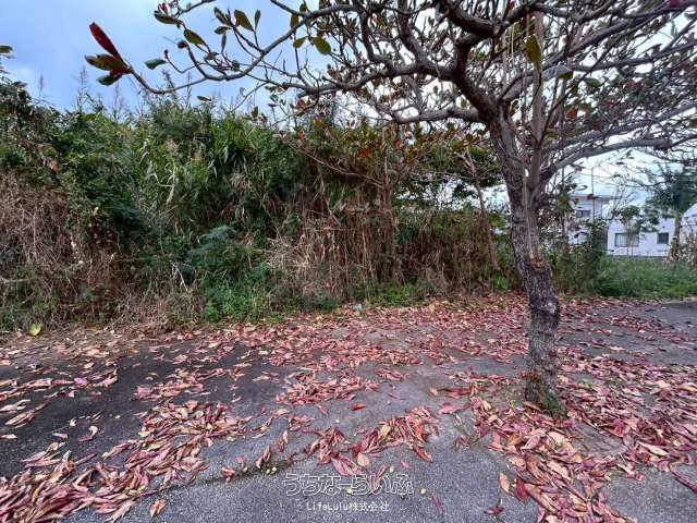 385㎡ Vacant Land for Sale in Yakena, Uruma City, Okinawa - Thumbnail 3
