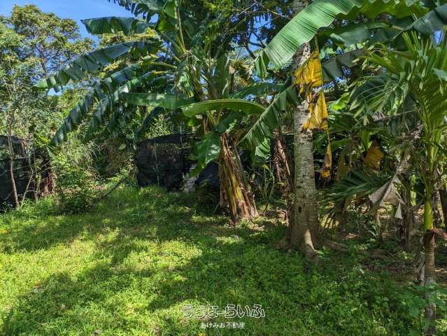 9675m² Farmland for Sale in Nago, Okinawa with Banana & Coffee Trees - Thumbnail 2
