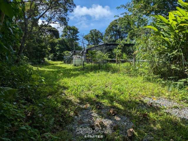 9675m² Farmland for Sale in Nago, Okinawa with Banana & Coffee Trees - Thumbnail 4
