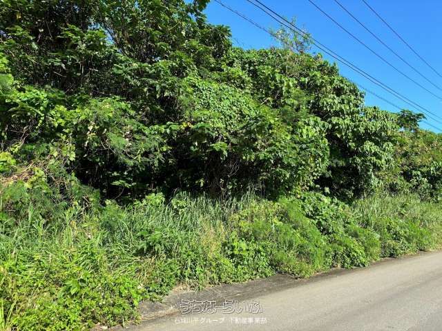 1,277m² Land for Sale in Miyara, Ishigaki City, Okinawa - Thumbnail 4