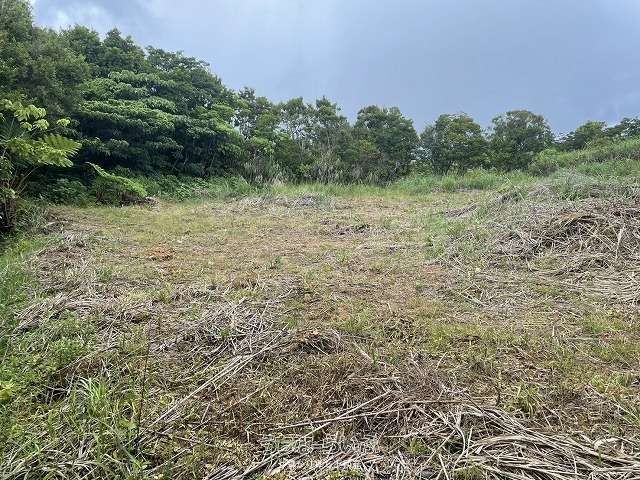 1308m² Land for Sale in Nakijin Village, Okinawa - Thumbnail 2