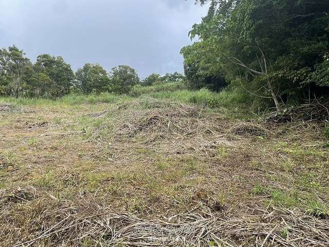 1308m² Land for Sale in Nakijin Village, Okinawa - Thumbnail 4