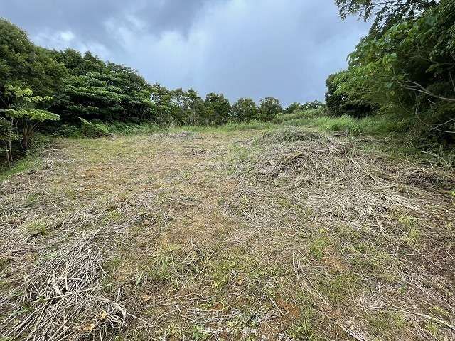 1308m² Land for Sale in Nakijin Village, Okinawa - Thumbnail 3