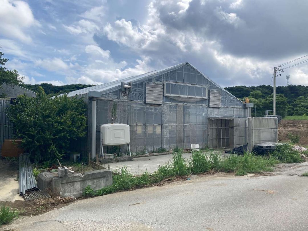 1338㎡ Land for Sale in Itoman, Okinawa - Ideal for Mushroom Farm - Thumbnail 2