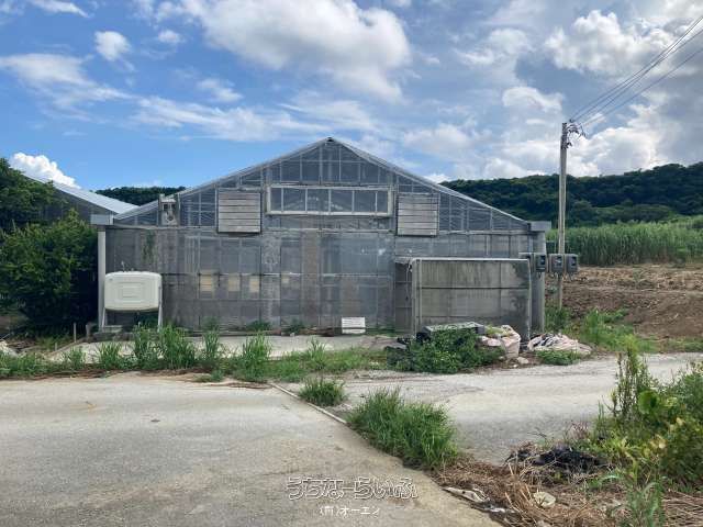 1338㎡ Land for Sale in Itoman, Okinawa - Ideal for Mushroom Farm - Thumbnail 3