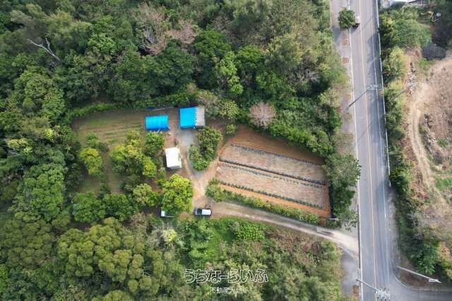 1,176m² Land for Sale in Ginowan Village, Okinawa - Thumbnail 3