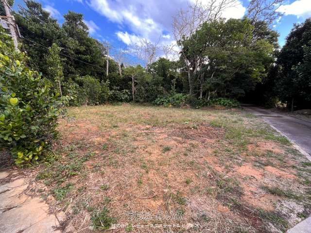 Affordable 84.8 Tsubo Residential Land in Nakijin, Okinawa - Thumbnail 4