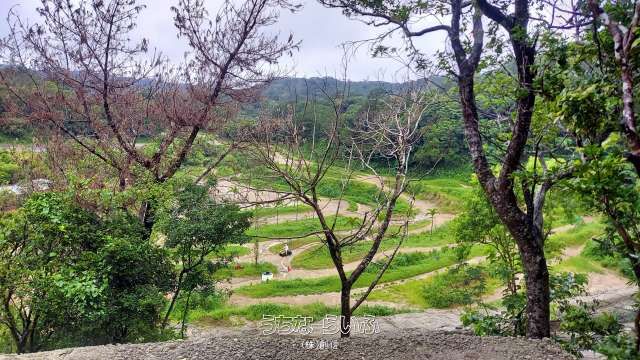 46,565 sqm Commercial Land for Sale in Nago, Okinawa - Image 1