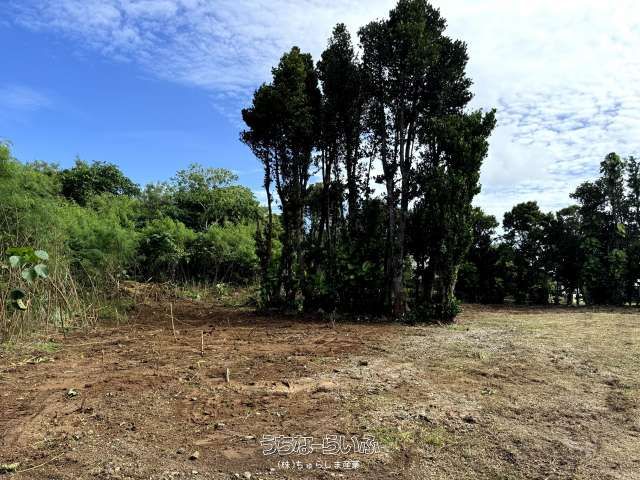 301.25 sqm Land for Sale in Shinzato, Motobu Town, Okinawa - Thumbnail 3