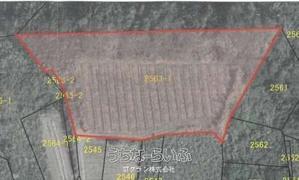 4155 sqm Ocean View Land for Sale on Kouri Island, Okinawa - Thumbnail 3