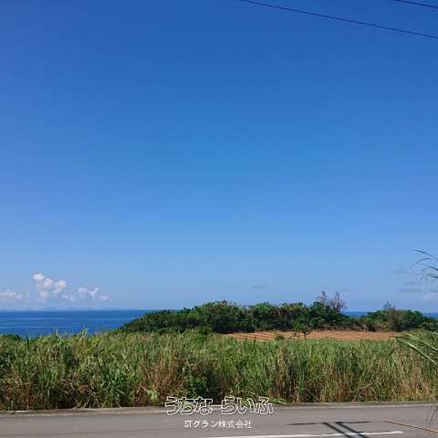4155 sqm Ocean View Land for Sale on Kouri Island, Okinawa - Thumbnail 2