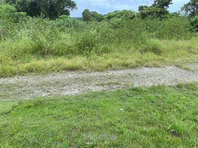 19272 sqm Land for Sale in Oura, Nago City, Okinawa - Thumbnail 4