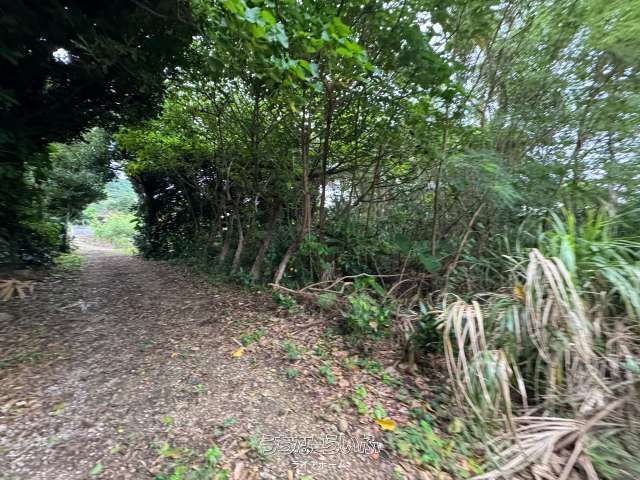 250㎡ Land for Sale in Higashiego, Ie Village, Okinawa - Thumbnail 4