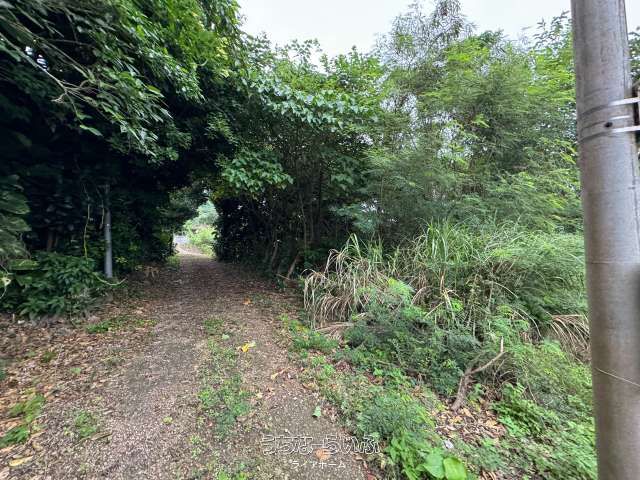 250㎡ Land for Sale in Higashiego, Ie Village, Okinawa - Thumbnail 2