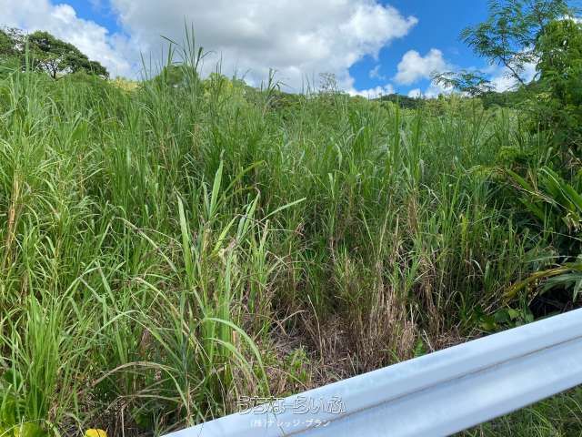 1448 sqm Land for Sale in Tamashiro, Nago City, Okinawa - Thumbnail 2