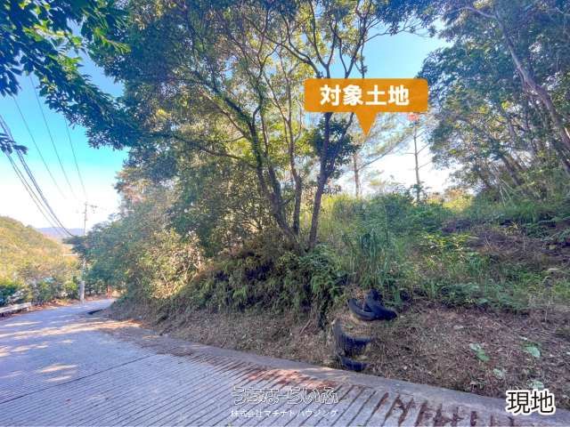 1151 sqm Land for Sale in Higashi Village, Okinawa - Beach 5 Min Walk - Thumbnail 4