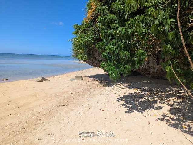 2142 sqm Land for Sale in Noso, Ishigaki City, Okinawa - Thumbnail 3