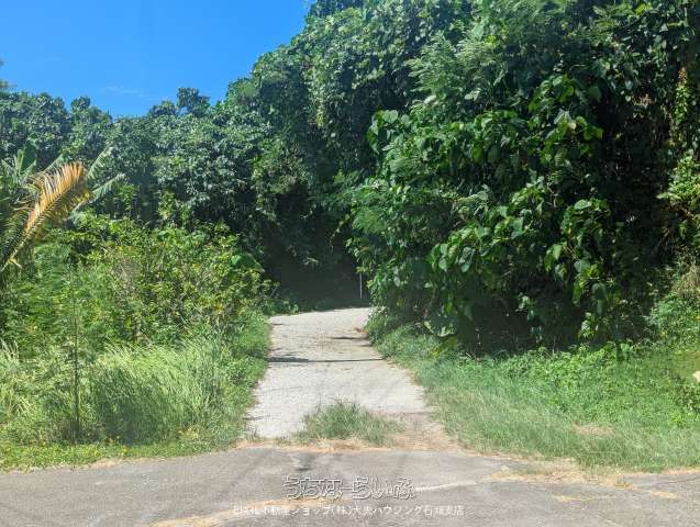 2142 sqm Land for Sale in Noso, Ishigaki City, Okinawa - Thumbnail 4