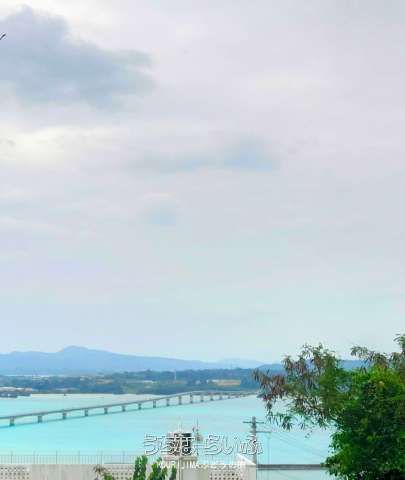 Land for Sale in Kouri, Nakijin Village, Okinawa - 1983.36 sqm