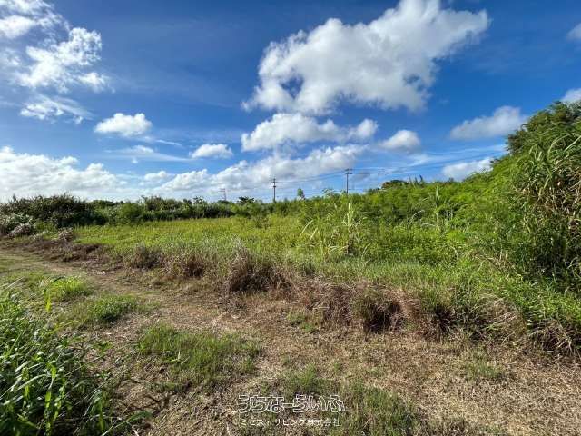 966 sqm Agricultural Land for Sale in Yomitan Village, Okinawa - Image 1