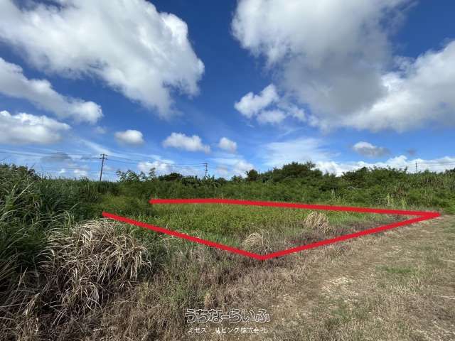 966 sqm Agricultural Land for Sale in Yomitan Village, Okinawa - Thumbnail 2