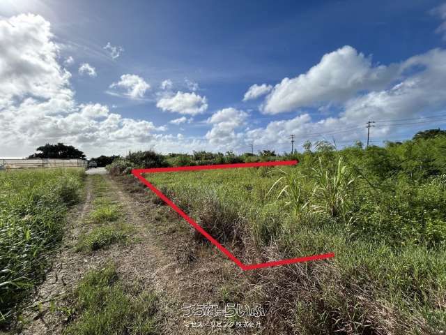 966 sqm Agricultural Land for Sale in Yomitan Village, Okinawa - Thumbnail 3