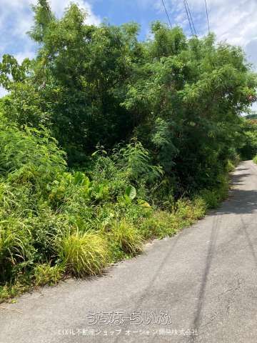 795m² Land for Sale in Nanjo City, Okinawa - Near Beachside Tea House - Thumbnail 3