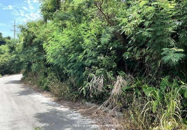 795m² Land for Sale in Nanjo City, Okinawa - Near Beachside Tea House - Thumbnail 4