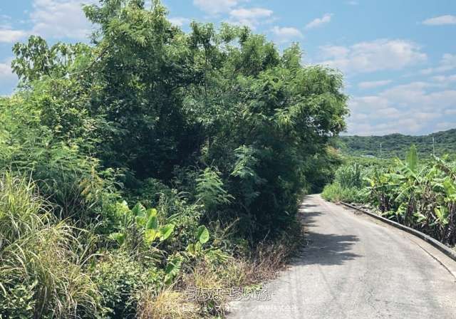 795m² Land for Sale in Nanjo City, Okinawa - Near Beachside Tea House - Thumbnail 2