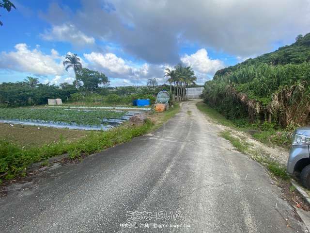731 sqm Farmland for Sale in Nishihara Town, Okinawa - Thumbnail 3