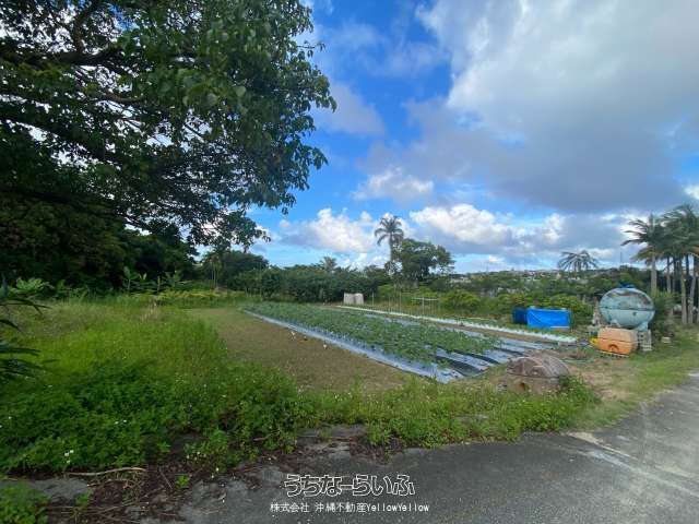 731 sqm Farmland for Sale in Nishihara Town, Okinawa - Thumbnail 2